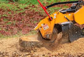 Best Seasonal Cleanup (Spring/Fall)  in Evergreen, CO